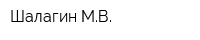 Шалагин МВ