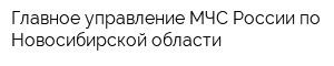 Главное управление МЧС России по Новосибирской области