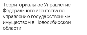 Территориальное Управление Федерального агентства по управлению государственным имуществом в Новосибирской области