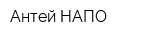 Антей-НАПО