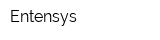 Entensys