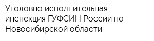 Уголовно-исполнительная инспекция ГУФСИН России по Новосибирской области