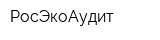 РосЭкоАудит
