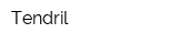 Tendril