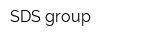 SDS group