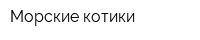 Морские котики