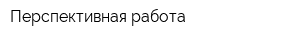 Перспективная работа