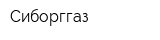 Сиборггаз