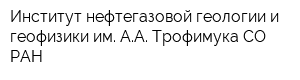 Институт нефтегазовой геологии и геофизики им АА Трофимука СО РАН