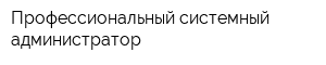 Профессиональный системный администратор