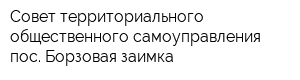 Совет территориального общественного самоуправления пос Борзовая заимка
