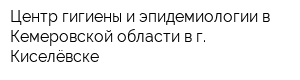 Центр гигиены и эпидемиологии в Кемеровской области в г Киселёвске
