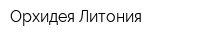 Орхидея-Литония