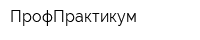 ПрофПрактикум