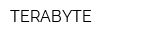 TERABYTE