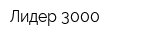 Лидер-3000