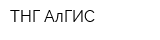 ТНГ-АлГИС