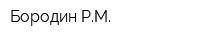 Бородин РМ