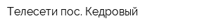 Телесети пос Кедровый