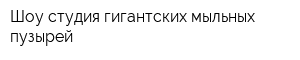 Шоу-студия гигантских мыльных пузырей