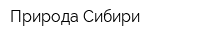 Природа Сибири
