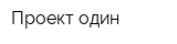 Проект один