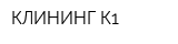 КЛИНИНГ-К1