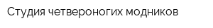 Студия четвероногих модников