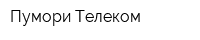 Пумори-Телеком