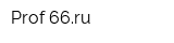 Prof-66ru