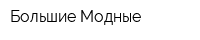 Большие Модные