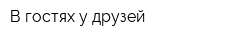 В гостях у друзей