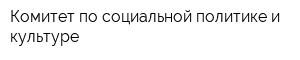 Комитет по социальной политике и культуре