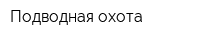 Подводная охота
