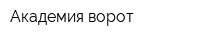 Академия ворот