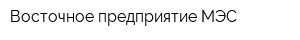 Восточное предприятие МЭС