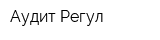 Аудит-Регул
