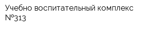 Учебно-воспитательный комплекс  313