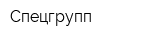 Спецгрупп