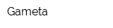 Gameta