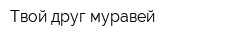 Твой друг муравей