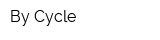By Cycle