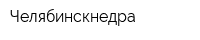 Челябинскнедра