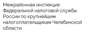 Межрайонная инспекция Федеральной налоговой службы России по крупнейшим налогоплательщикам Челябинской области