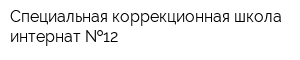 Специальная коррекционная школа-интернат  12
