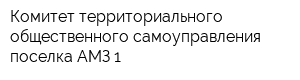 Комитет территориального общественного самоуправления поселка АМЗ-1