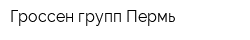 Гроссен групп Пермь