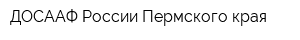 ДОСААФ России Пермского края