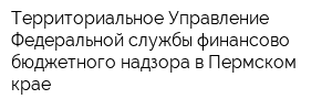 Территориальное Управление Федеральной службы финансово-бюджетного надзора в Пермском крае