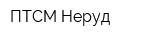 ПТСМ-Неруд